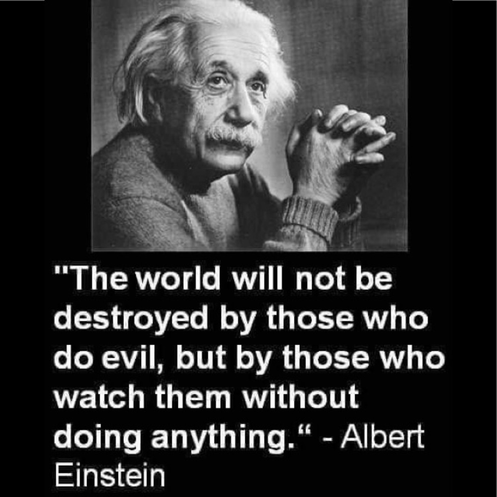 Meet your Posher, Nelly